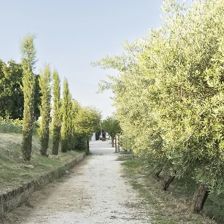 Maia - Homelike * Montefano